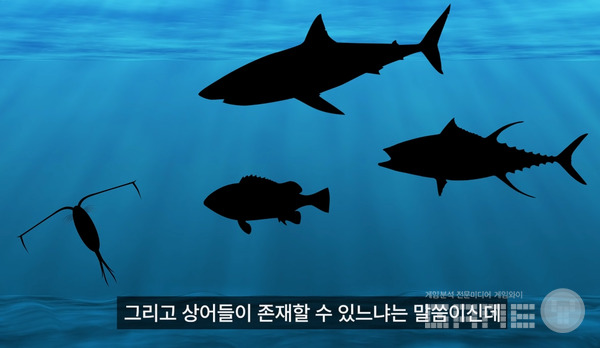 일반적인 게임의 생태계