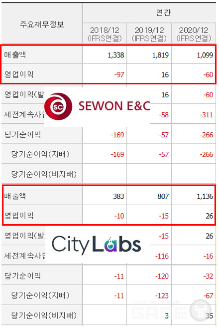 세원이앤씨, 시티랩스 2020년까지의 실적, 자료=금감원