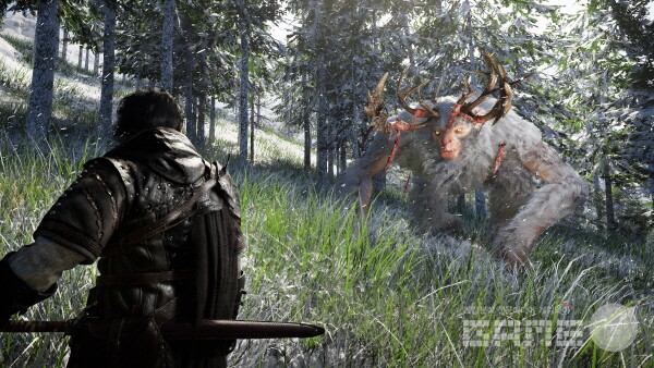 '붉은사막' 인게임 이미지, 사진=게임와이 DB