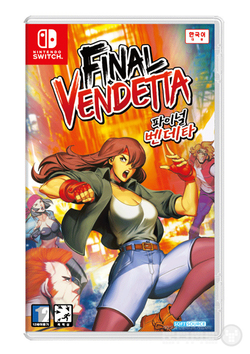 닌텐도 스위치용 패키지, 사진=게임피아