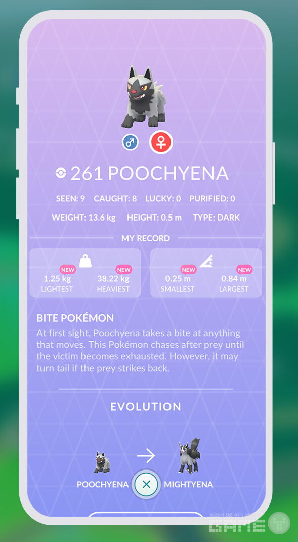 포켓몬 크기가 기록된다 /나이언틱