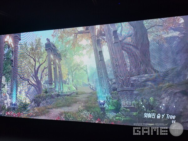 V4의 잊혀진 숲 / 게임와이 촬영