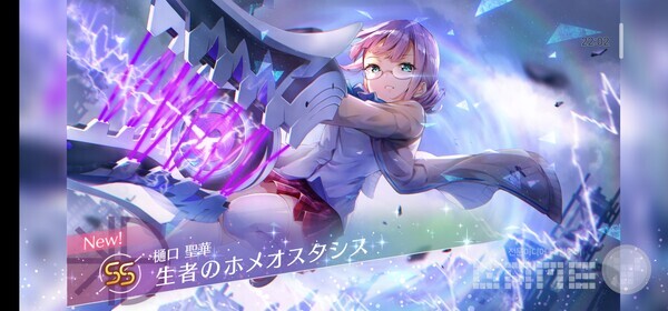 헤번 번즈 레드 /게임와이 촬영