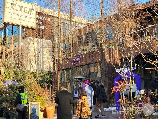 강남 알베르 카페