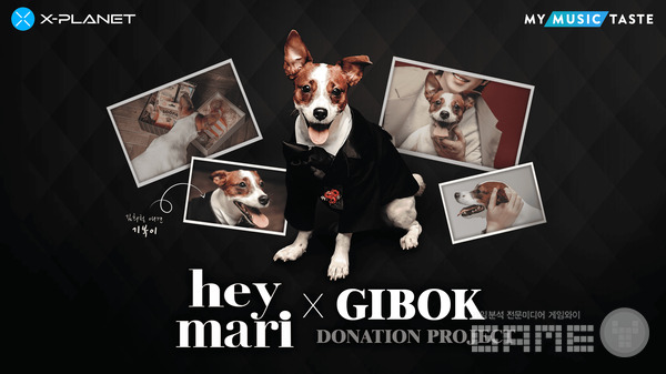 기복이 NFT 프로젝트 /컴투스홀딩스