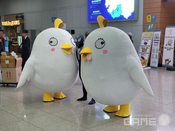 입구에서 페로로 vs 페로로를 볼 수 있었다 / 게임와이 촬영