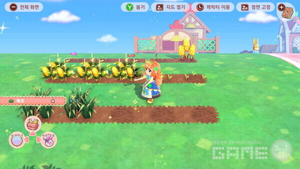 농작물이 자란다