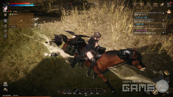 로한2 /게임와이 촬영