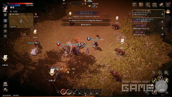 로한2 /게임와이 촬영