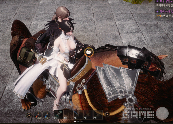 로한2 /게임와이 촬영