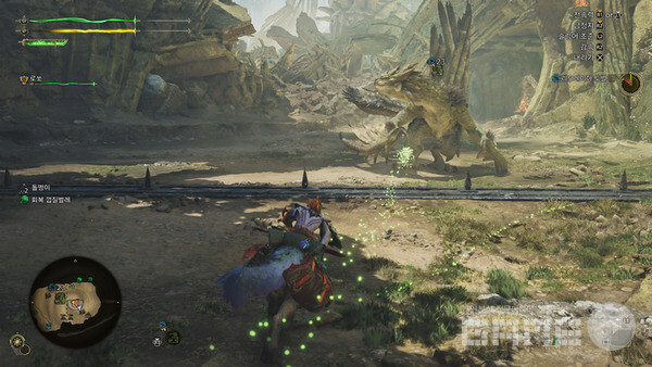 격투 대회 출전 중