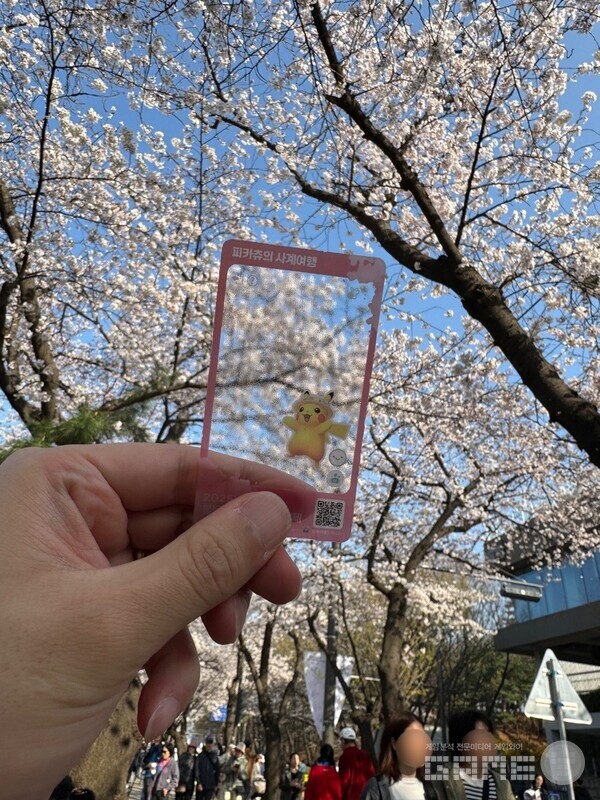 여의도 봄꽃 축제 이벤트 ‘피카츄의 사계여행 핑크빛 봄소풍’ /포켓몬코리아