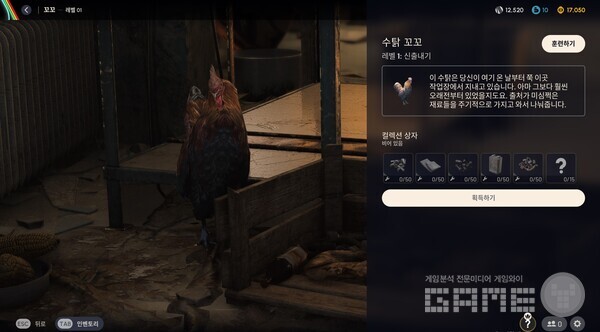 ‘레이더 은신처’에서 항상 유저를 기다리고 있는 반려 수탉 ‘꼬꼬’ / 넥슨