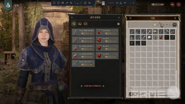 포션 구매...특징이 안 보인다