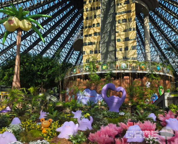 ‘포켓몬 원더 아일랜드 in JEJU’  /포켓몬코리아