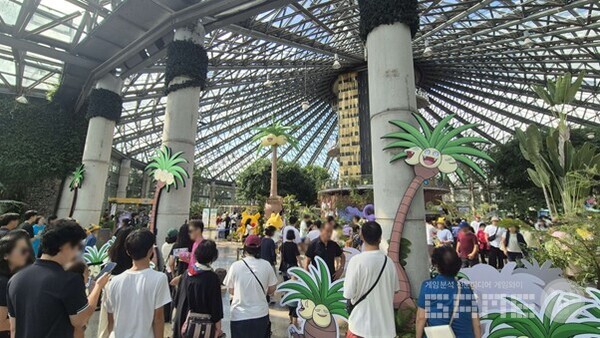 포켓몬 원더 아일랜드 /포켓몬코리아